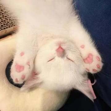 Ảnh đại diện của Quỳnh Như